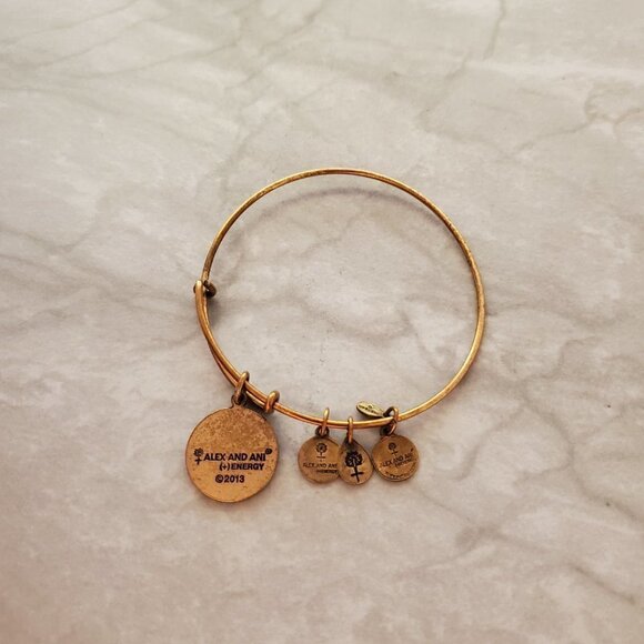✨ Alex and Ani Gold Z Initial Charm Expandable Adjustable Bangle Bracelet ✨ - Picture 3 of 5